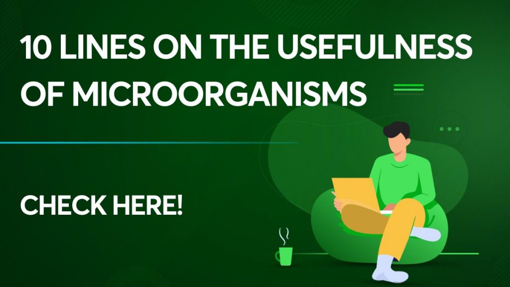 10 Lines on the Usefulness of Microorganisms