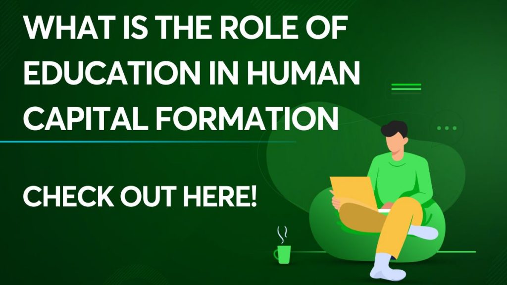 What is the Role of Education in Human Capital Formation