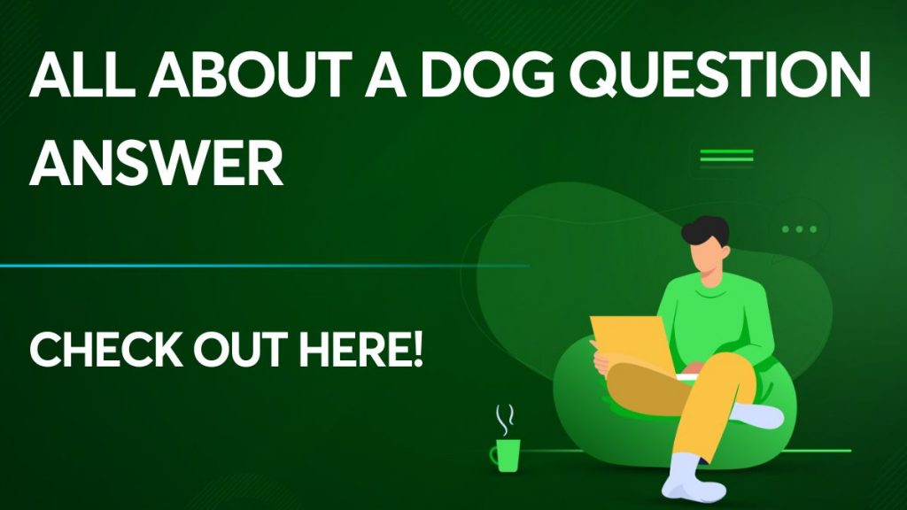 All About a Dog Question Answer